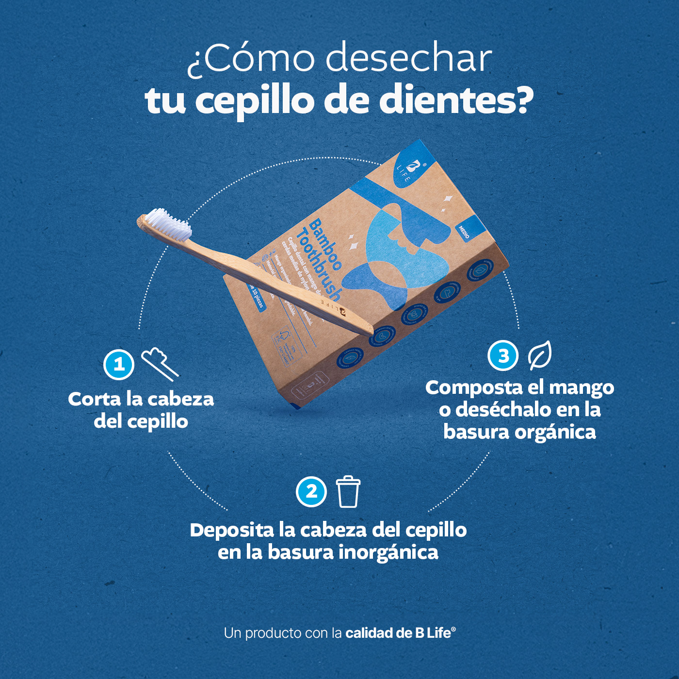 Foto 5 pulgar | Kit Con 10 Cepillos De Dientes De Bambú Para Adultos Con Cerdas Medias. B Life