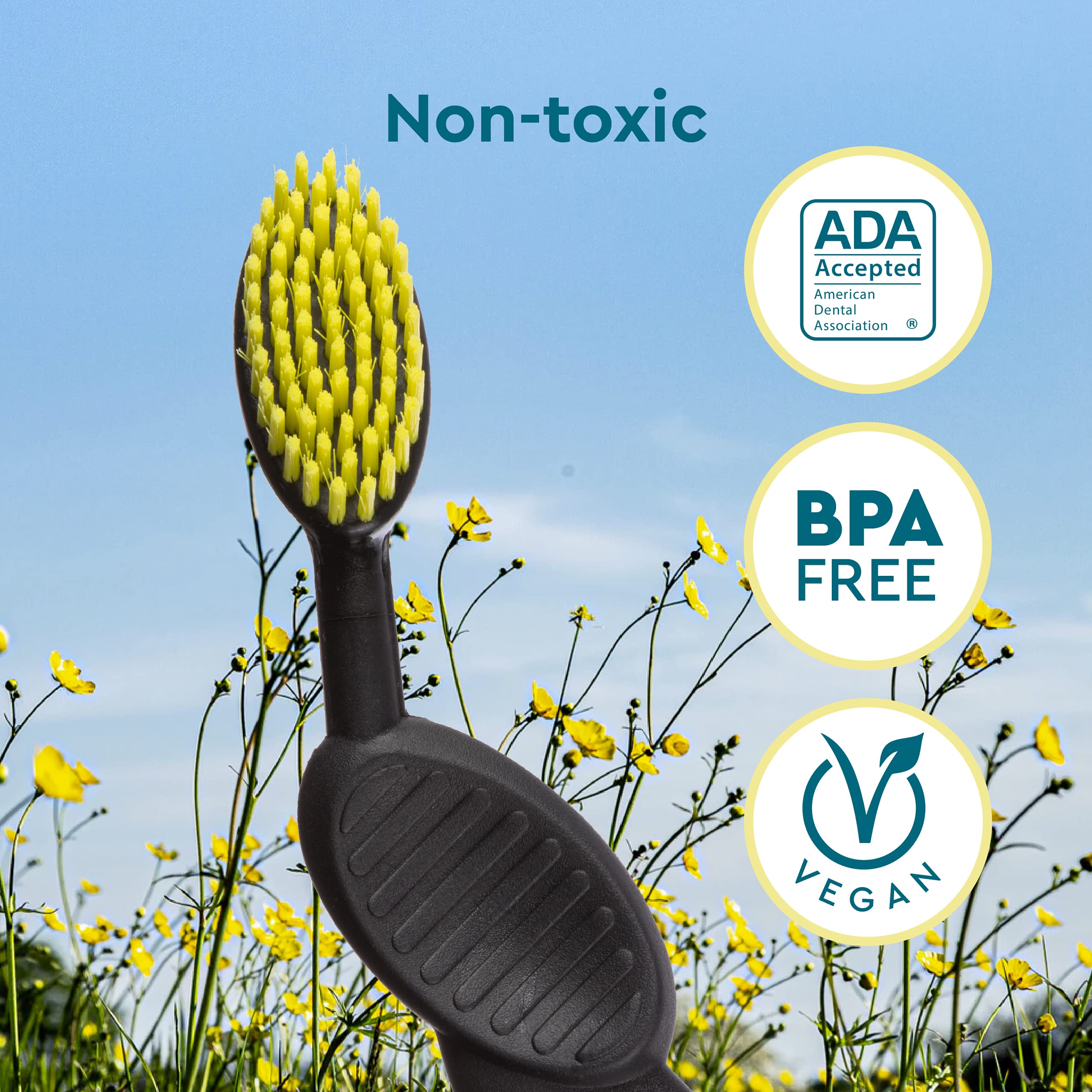 Foto 7 pulgar | Cepillo De Dientes Radius Flex Brush  Cerdas Suaves  Sin Bpa  Paquete De 6 - Venta Internacional.
