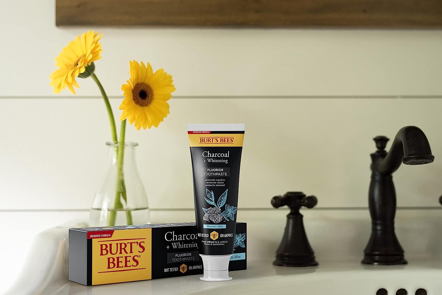 Foto 6 | Pasta De Dientes Burt's Bees Charcoal Con Flúor Mountain Mint 140 Ml - Venta Internacional.