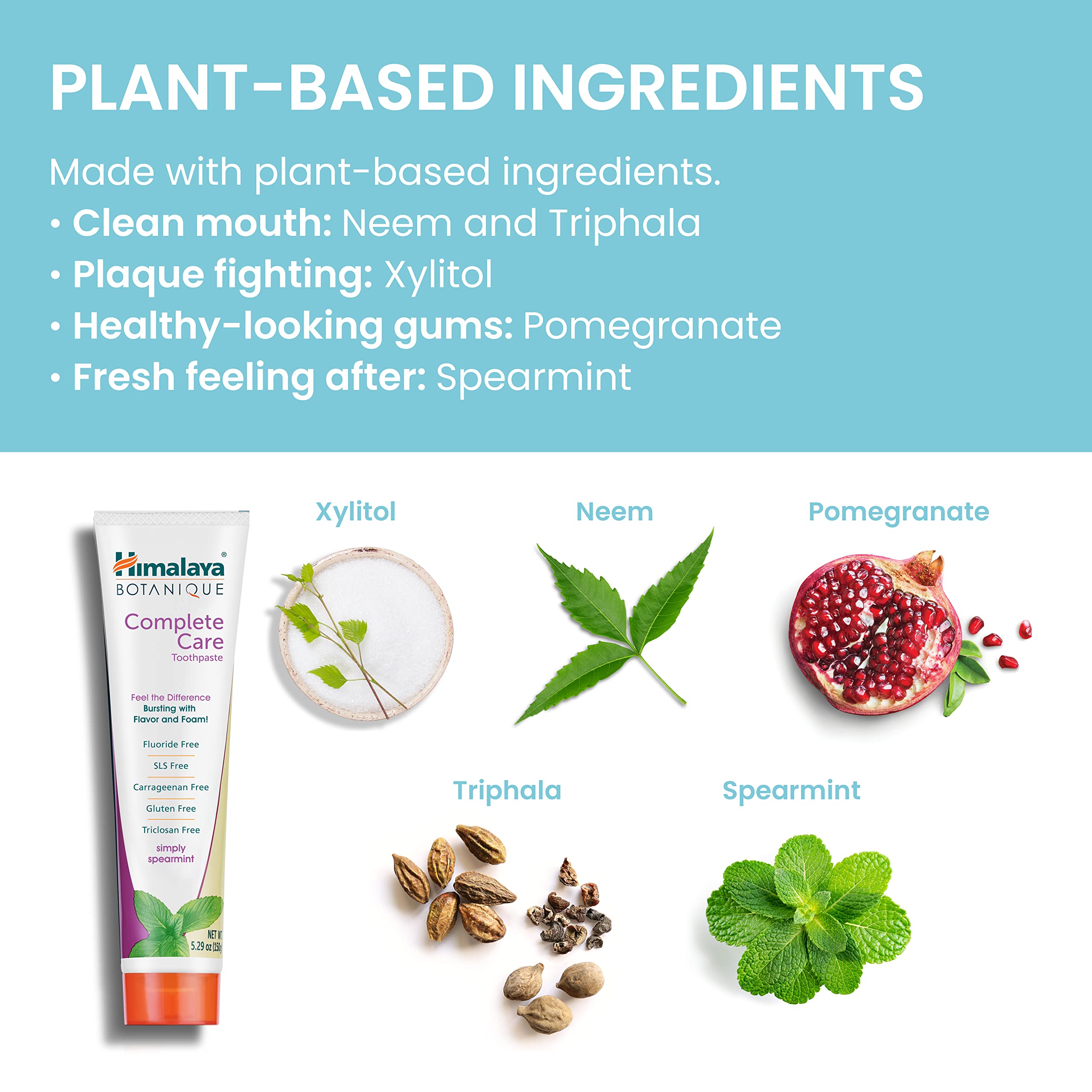 Foto 6 pulgar | Pasta De Dientes Himalaya Botanique Complete Care Simply Spearmint - Venta Internacional.
