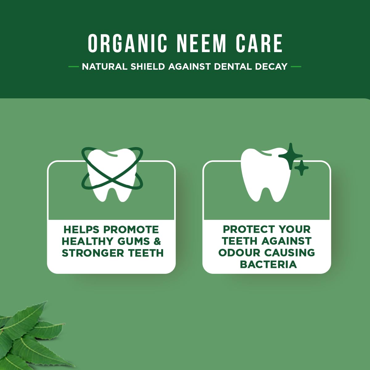 Foto 3 | Pasta Dental Dabur Neem de 100 ml-Venta Internacional