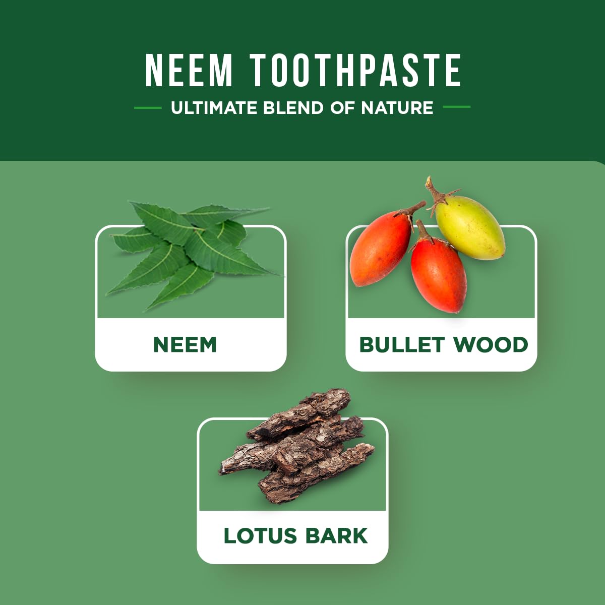 Foto 5 pulgar | Pasta Dental Dabur Neem de 100 ml-Venta Internacional