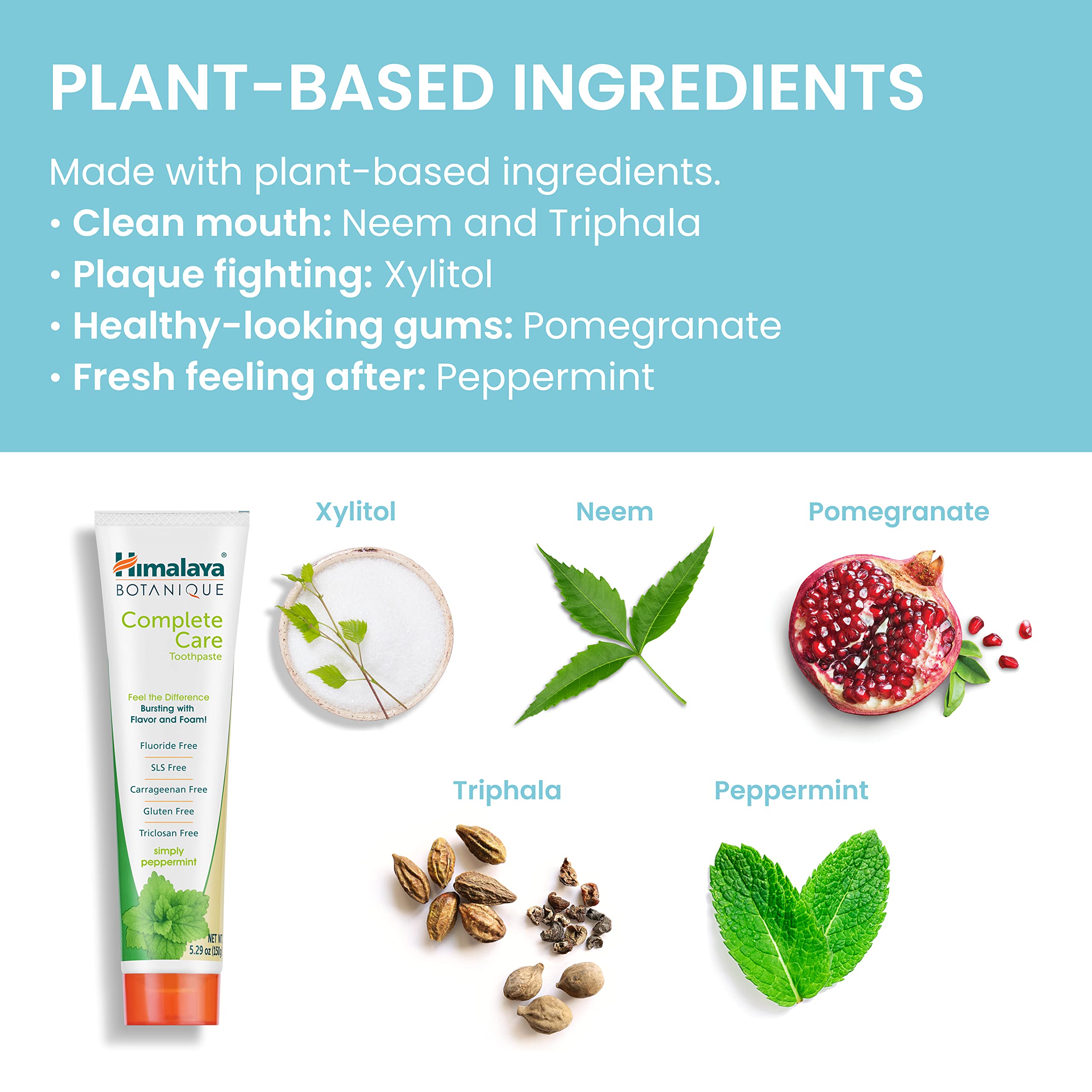 Foto 6 pulgar | Pasta de Dientes Himalaya Botanique Complete Care Herbal 2 Piezas de 150 ml C/U - Venta Internacional