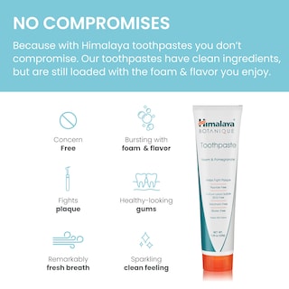 Foto 4 | Pasta De Dientes Himalaya Botanique Original Neem & Pomegranate 150ml - Venta Internacional.
