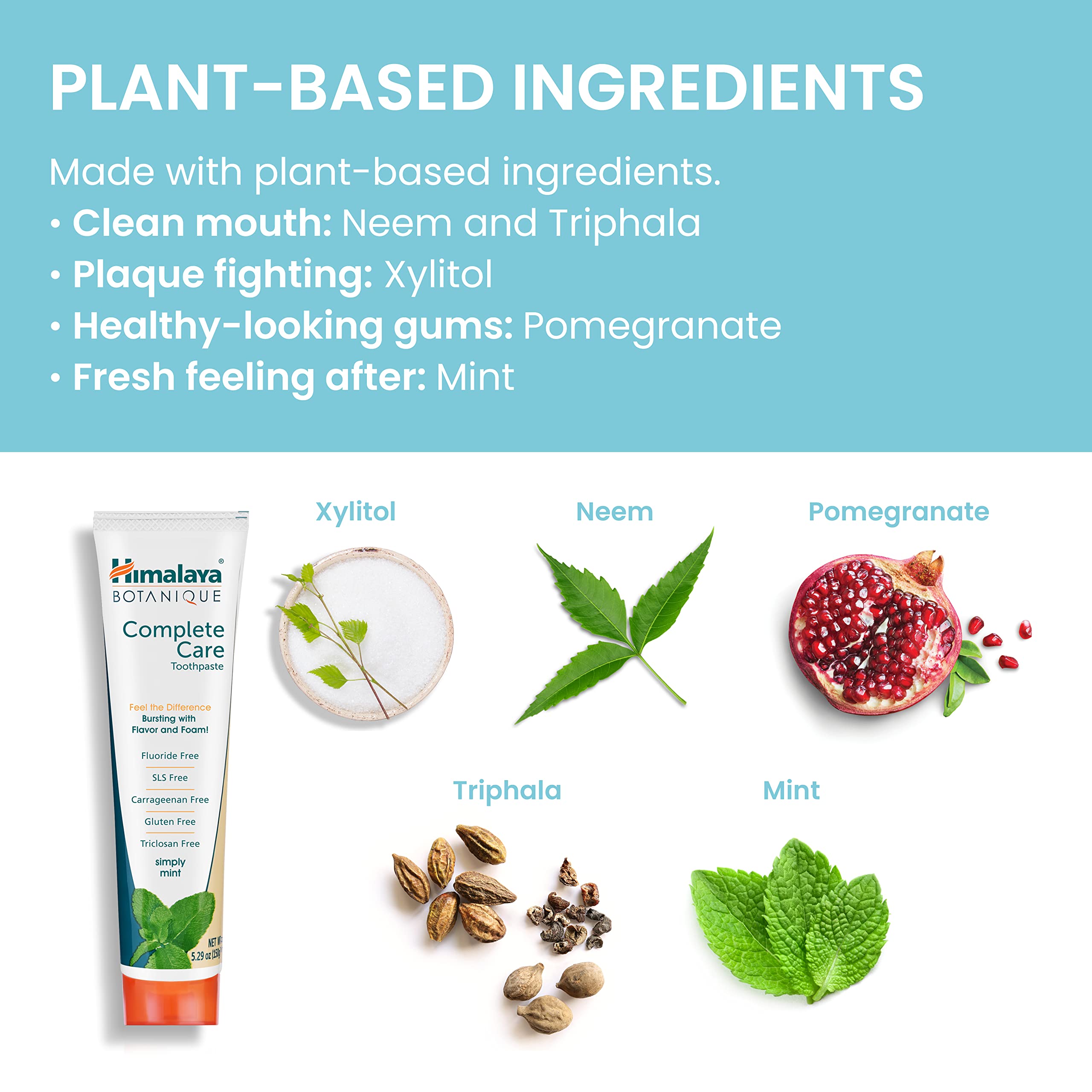 Foto 6 | Pasta De Dientes Himalaya Botanique Complete Care Herbal 150 Ml - Venta Internacional.