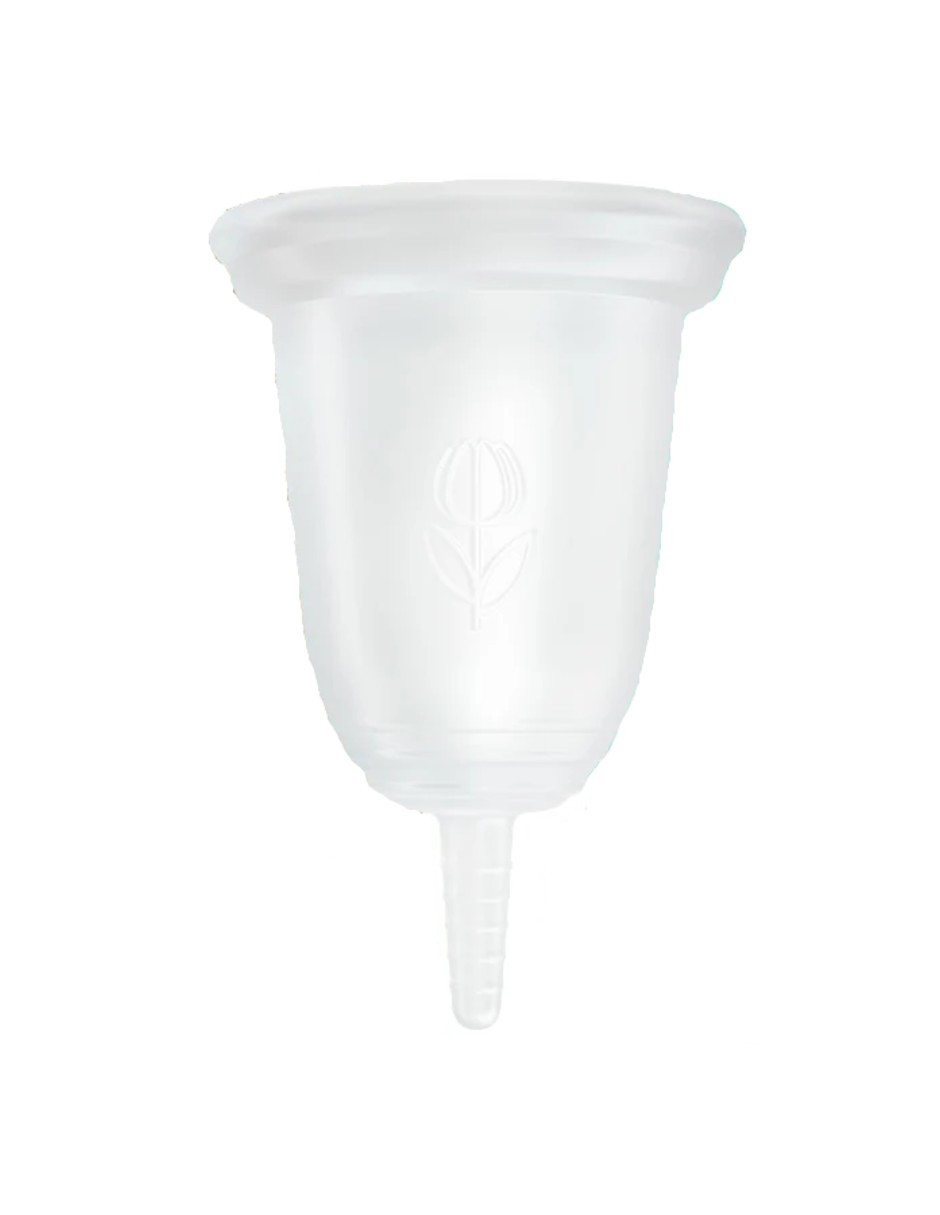 Foto 4 pulgar | Combo Peltre + Copa Menstrual - Talla Grande + Gratis Termo Güish De Regalo