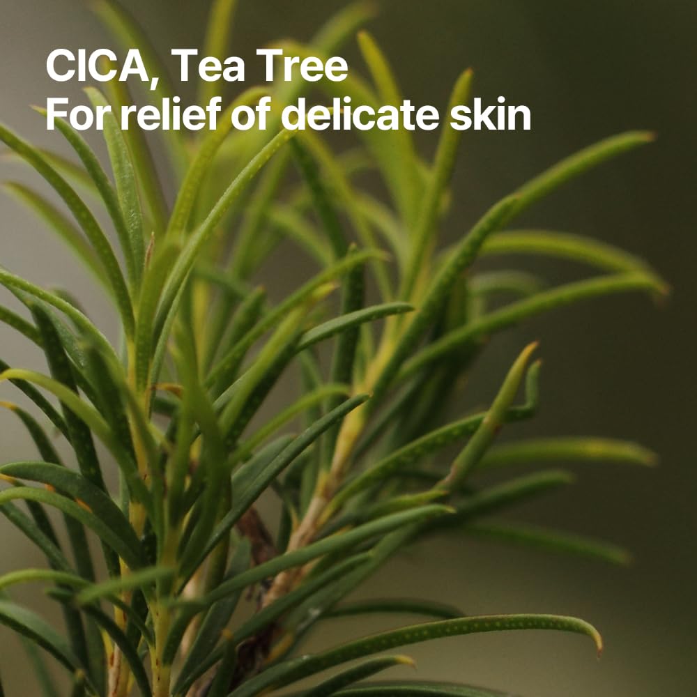 Foto 6 pulgar | [almohadilla De Tóner] Almohadilla De Tóner Calmante Pyunkang Yul Con Árbol De Té  200 Ml - Venta Internacional.