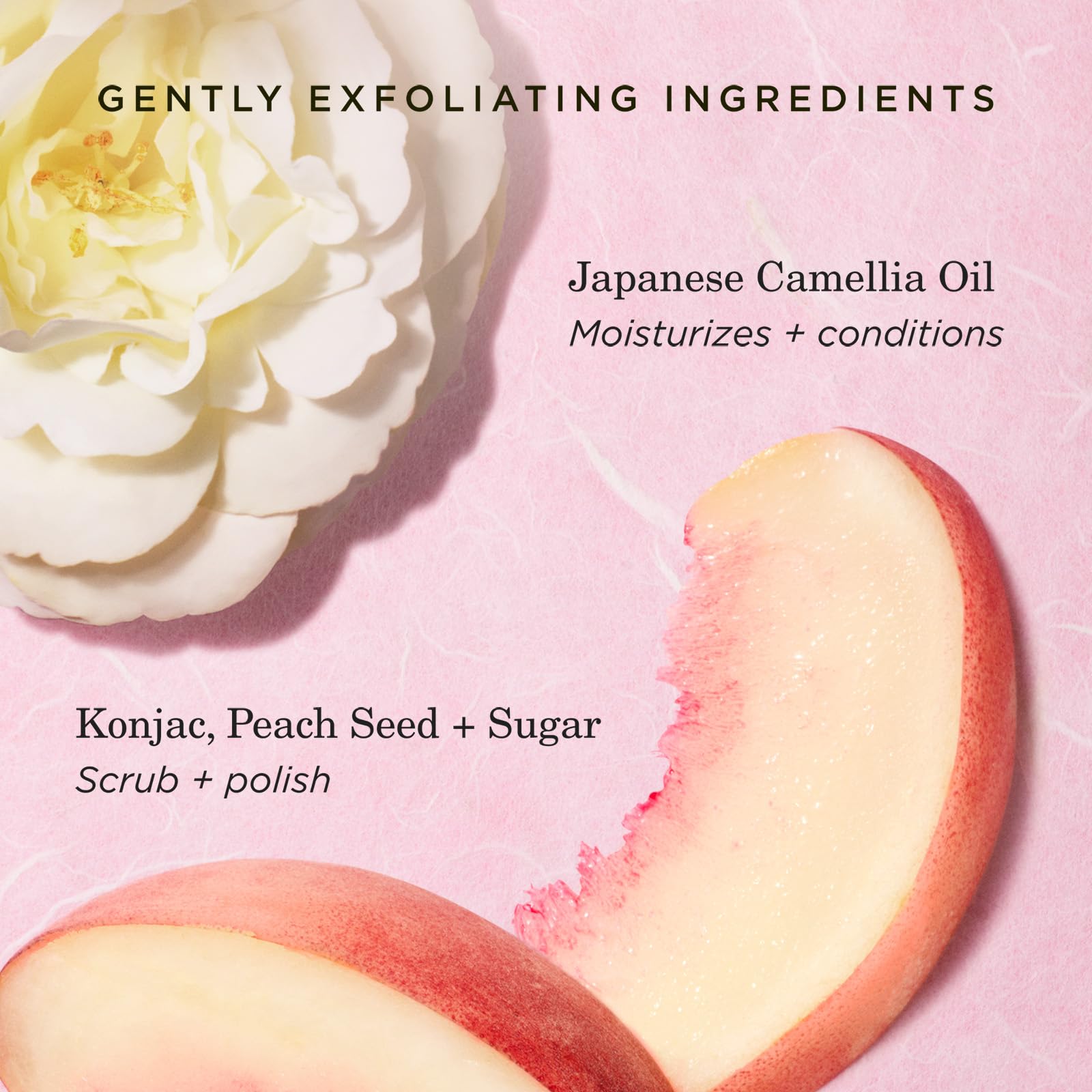 Foto 7 pulgar | Exfoliante Labial Hidratante Tatcha Kissu Con Semillas De Melocotón - Venta Internacional.