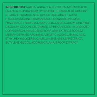 Foto 6 | Espuma Limpiadora Hidratante Innisfree con Aminoácidos de Té Verde - Venta Internacional