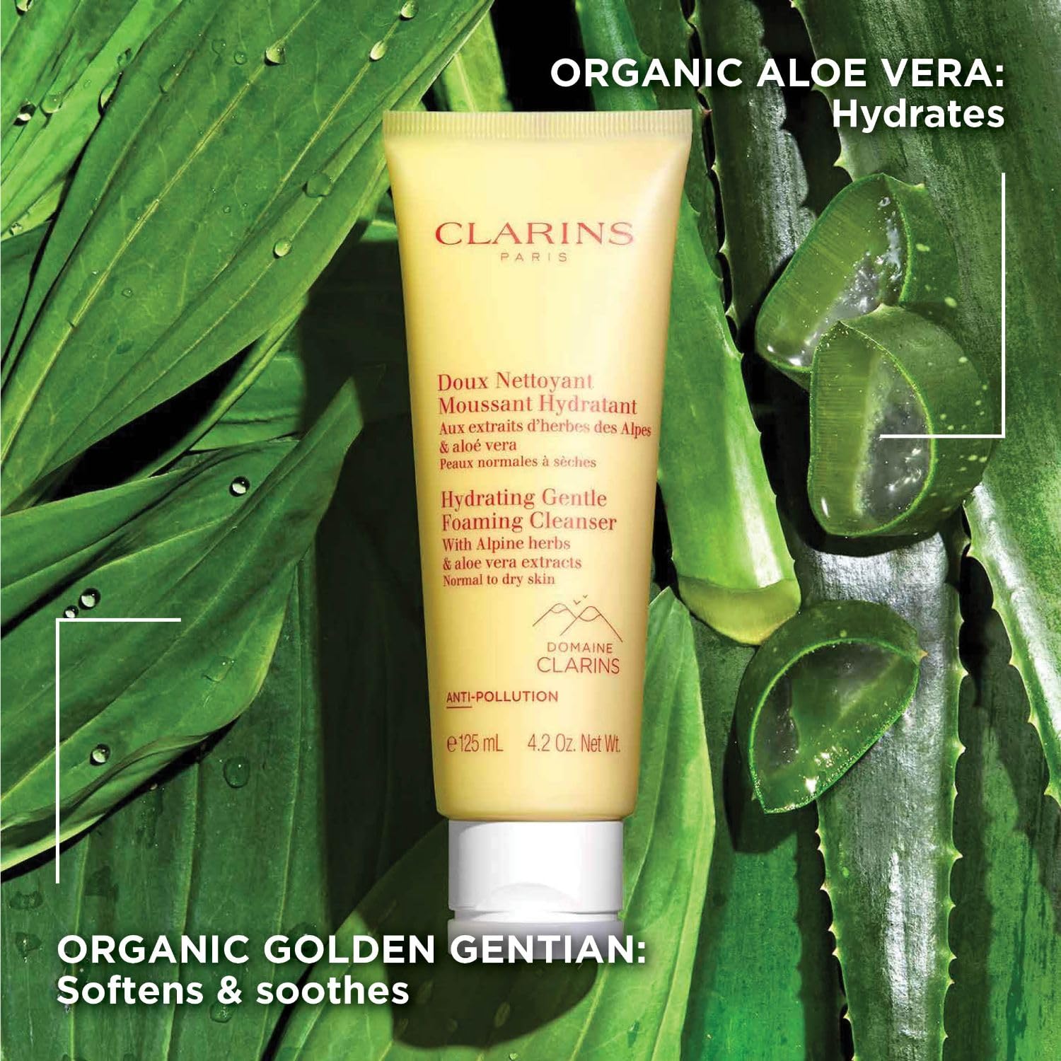 Foto 4 pulgar | Limpiador Clarins Hidrating Gentle Foaming Con Aloe Orgánico - Venta Internacional.