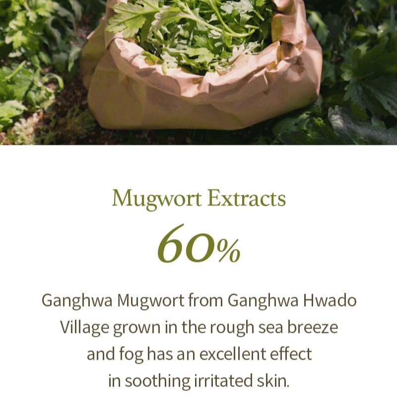 Foto 4 pulgar | Gel Limpiador I'm From Mugwort  150 Ml  60% Calmante  Vegano - Venta Internacional.