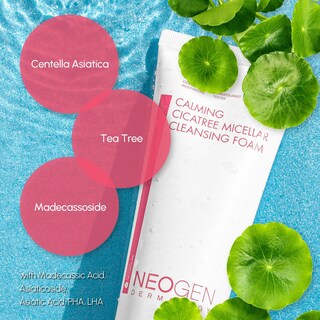 Foto 4 | Espuma Limpiadora Dermalogy De Neogenlab Calming Cica Tree 200 Ml - Venta Internacional.