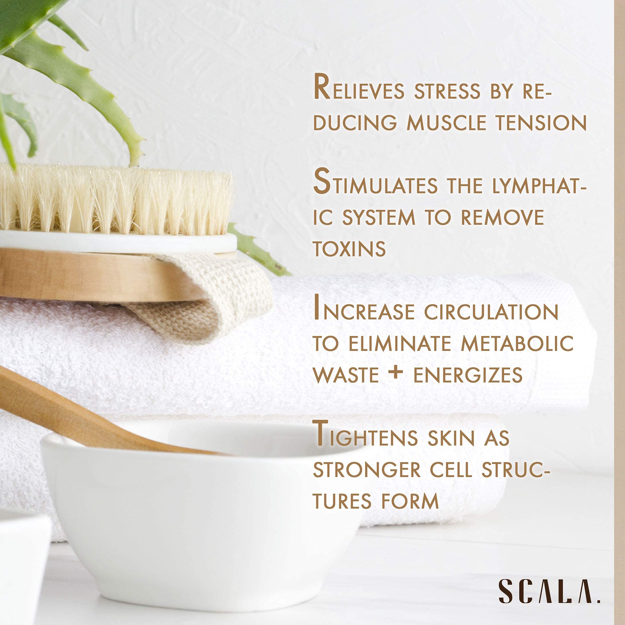 Foto 8 pulgar | Cepillo Corporal Dry Body Brush Scala Natural Bristle - Venta Internacional