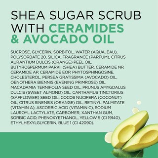 Foto 7 | Exfoliante De Azúcar Dr. Teal's Con Ceramidas Y Aceite De Aguacate 560 Ml (x3) - Venta Internacional.