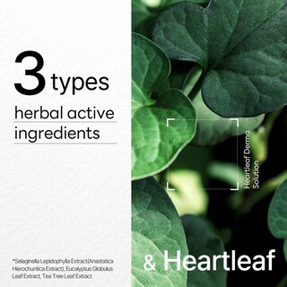 Foto 5 | Mascarilla Mediheal Dermaplus Heartleaf Vegan, 10 Unidades - Venta Internacional.