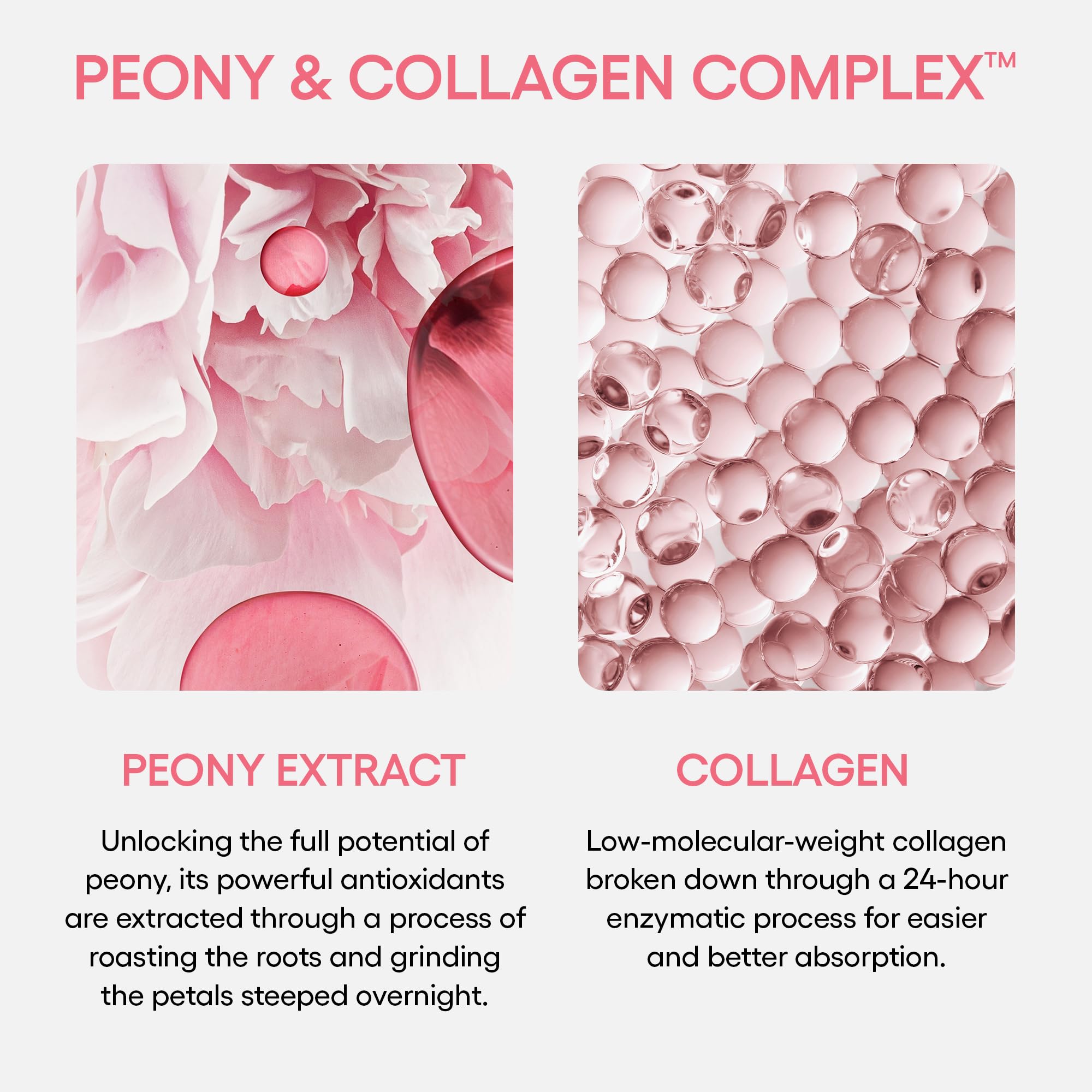 Foto 3 pulgar | Mascarilla Para Dormir Laneige Bouncy And Firm Revitalize Peony Collagen - Venta Internacional.