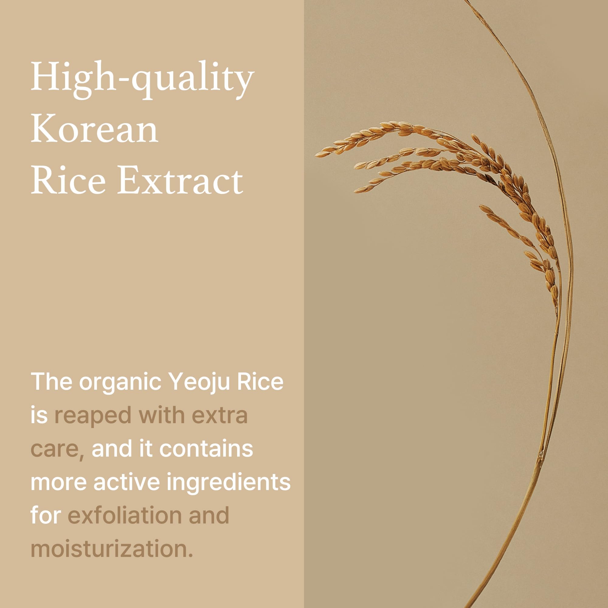 Foto 6 pulgar | Mascarilla Facial I'm From Rice Mask, Exfoliante Suave, 115 Ml - Venta Internacional.