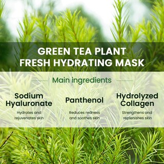 Foto 4 | Mascarillas Hidratantes Kaely Tea Tree Para Todo Tipo De Piel, Paquete De 6 - Venta Internacional.