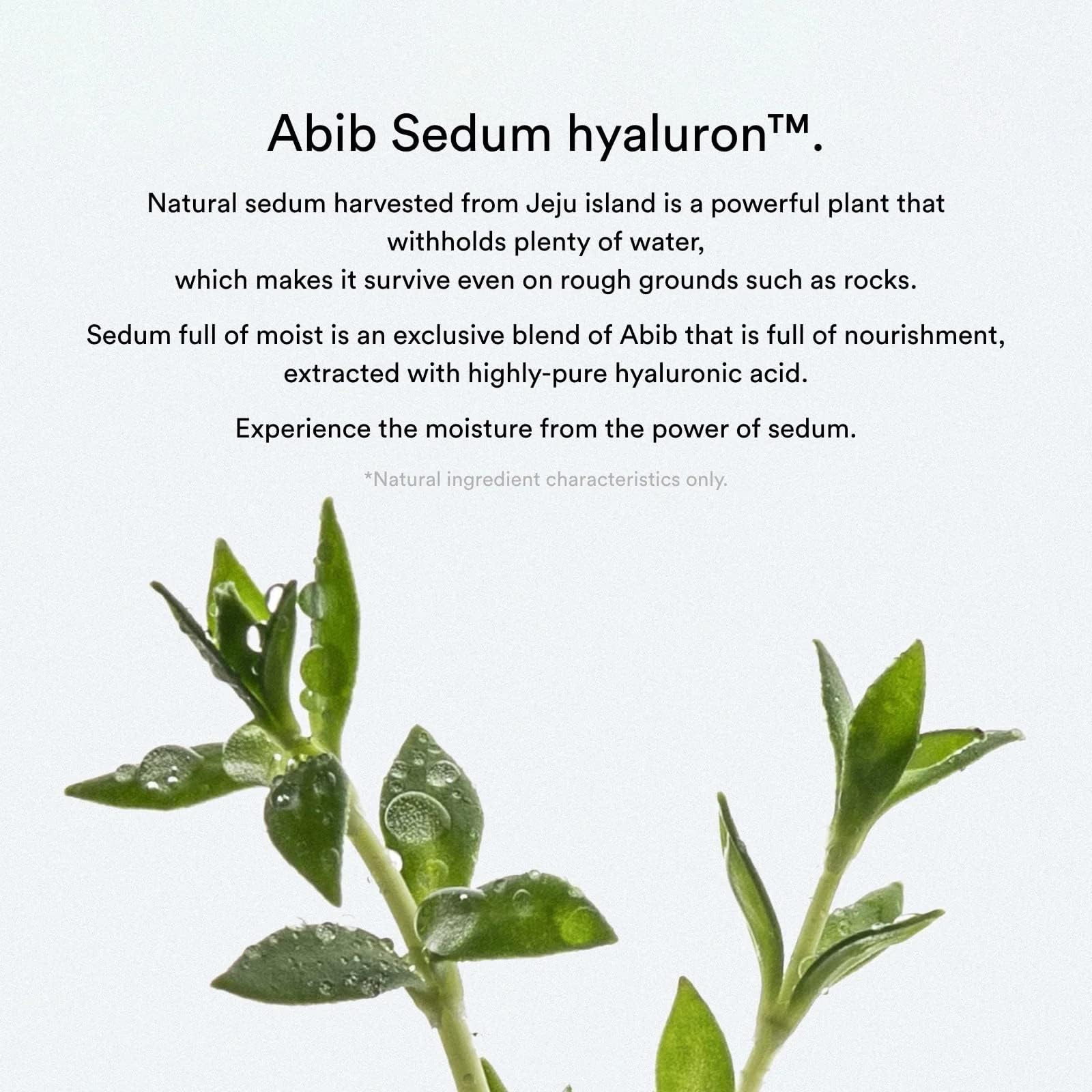 Foto 5 pulgar | Mascarilla Facial Abib Collagen Gel Mask Sedum Jelly 10 Hojas - Venta Internacional.