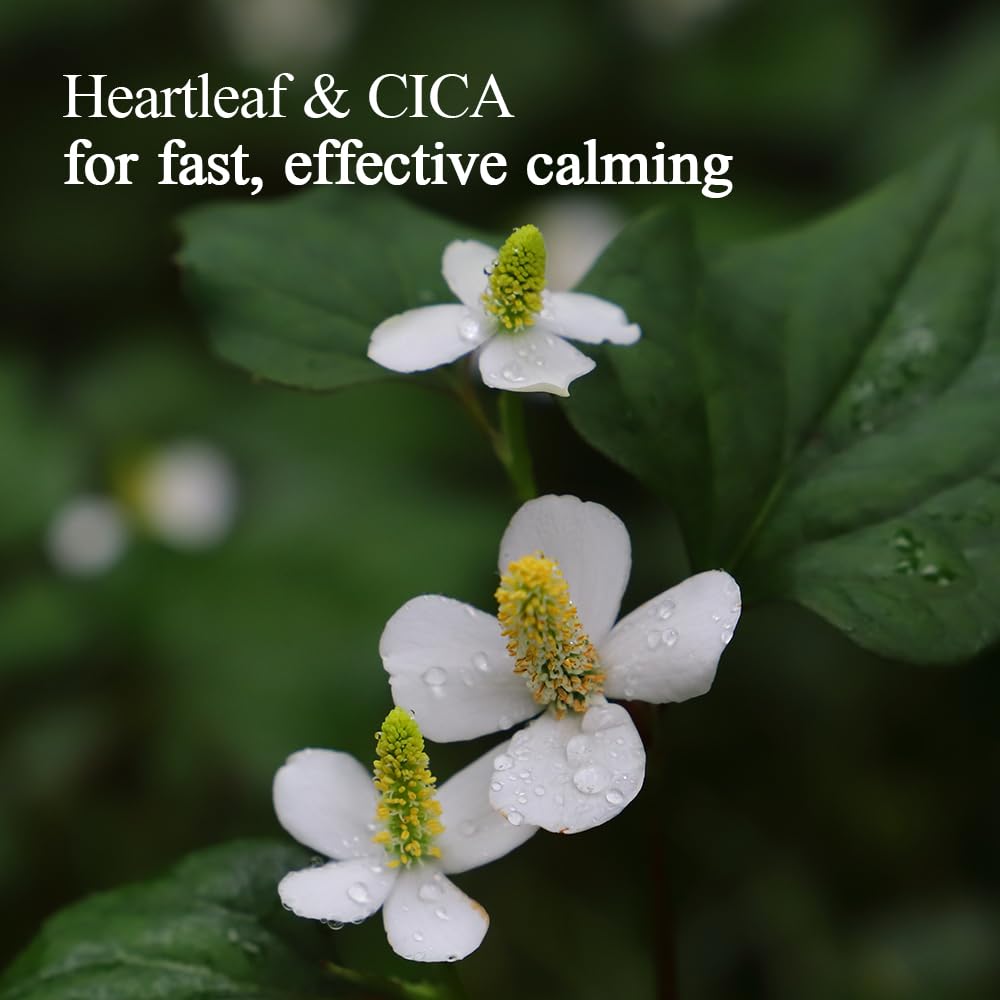 Foto 4 | Wash Off Pack Pyunkang Yul Calming Relief, 100 Ml, Para Personas Sensibles - Venta Internacional.