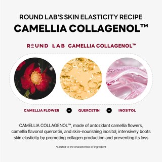 Foto 6 | Mascarilla De Gel Lifting V-line Round Lab Camellia Deep Collagen - Venta Internacional.