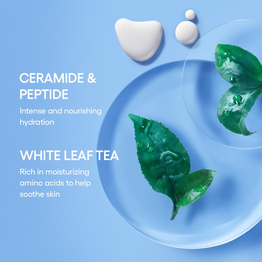 Foto 7 pulgar | Tónico E Hidratante Laneige Cream Skin Jumbo Duo Bundle - Venta Internacional.