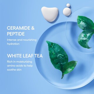 Foto 6 | Tónico E Hidratante Laneige Cream Skin Jumbo Duo Bundle - Venta Internacional.