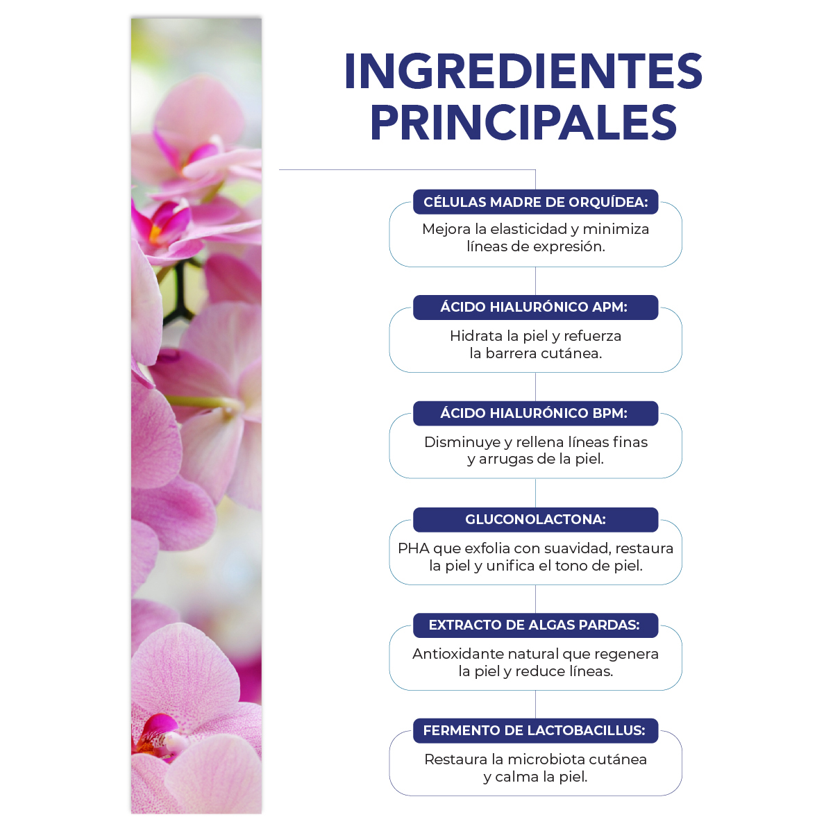 Foto 4 pulgar | Pack Be Aes Serum Facial Contorno De Ojos Y Pantalla Solar