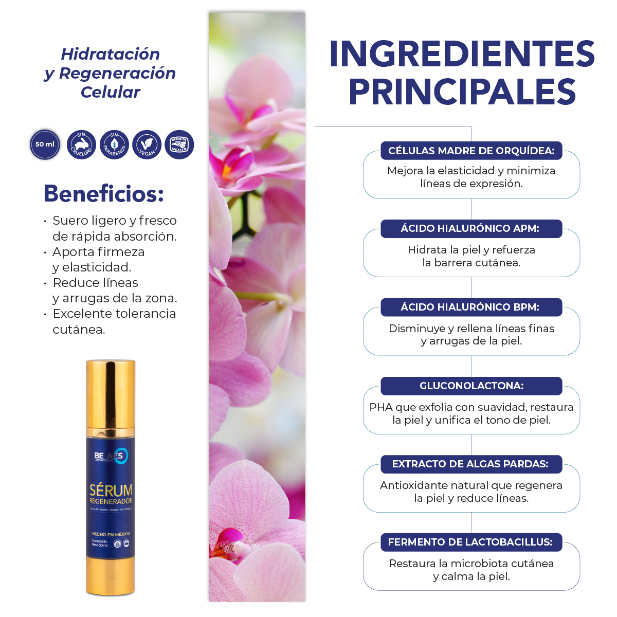 Foto 4 | Kit Be Aes Skin Care Completo Limpiador Crema Serum Contorno