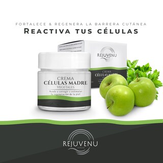 Foto 5 | Pack Facial Loción Crema Antiarrugas Células Madre Rejuvenu
