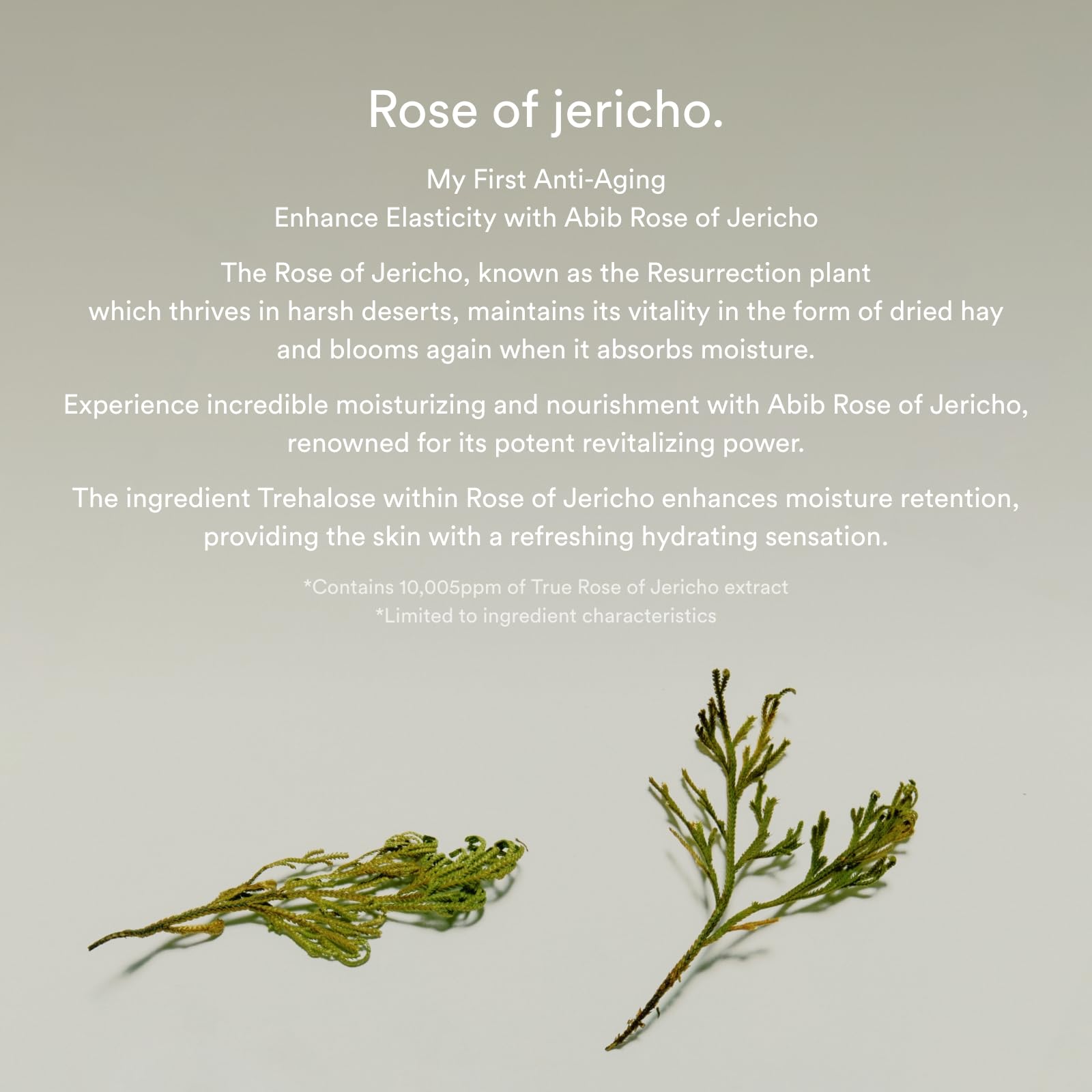 Foto 5 pulgar | Crema Para Ojos Abib Collagen Jericho Rose, Ojeras, Hinchazón - Venta Internacional.