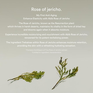 Foto 4 | Crema Para Ojos Abib Collagen Jericho Rose, Ojeras, Hinchazón - Venta Internacional.