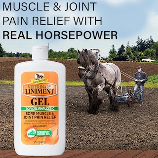 Foto 3 | Gel Analgésico Absorbine Veterinary Liniment 350 Ml - Venta Internacional.