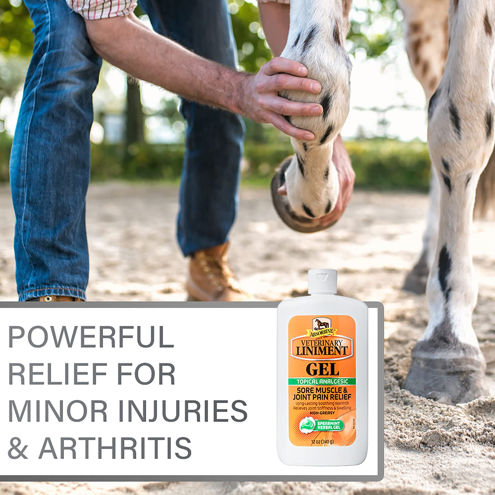 Foto 6 pulgar | Gel Analgésico Absorbine Veterinary Liniment 350 Ml - Venta Internacional.