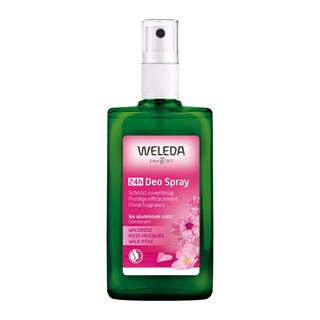 Foto 1 | Desodorante En Aerosol Weleda Wild Rose 24 Horas 100 Ml - Venta Internacional.