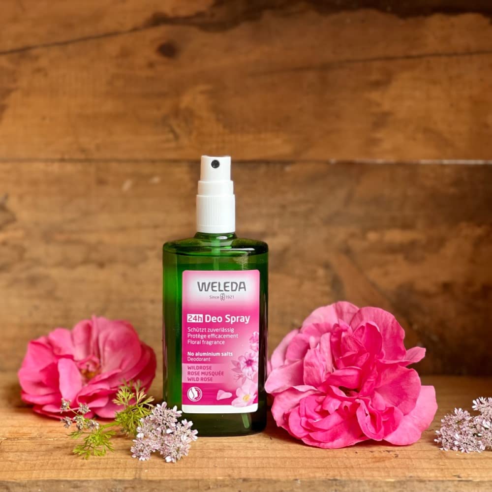 Foto 3 pulgar | Desodorante En Aerosol Weleda Wild Rose 24 Horas 100 Ml - Venta Internacional.