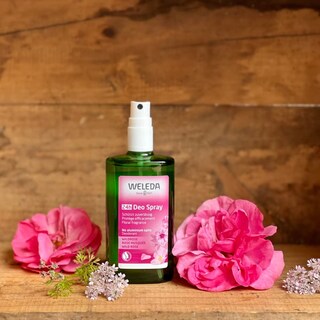 Foto 2 | Desodorante En Aerosol Weleda Wild Rose 24 Horas 100 Ml - Venta Internacional.