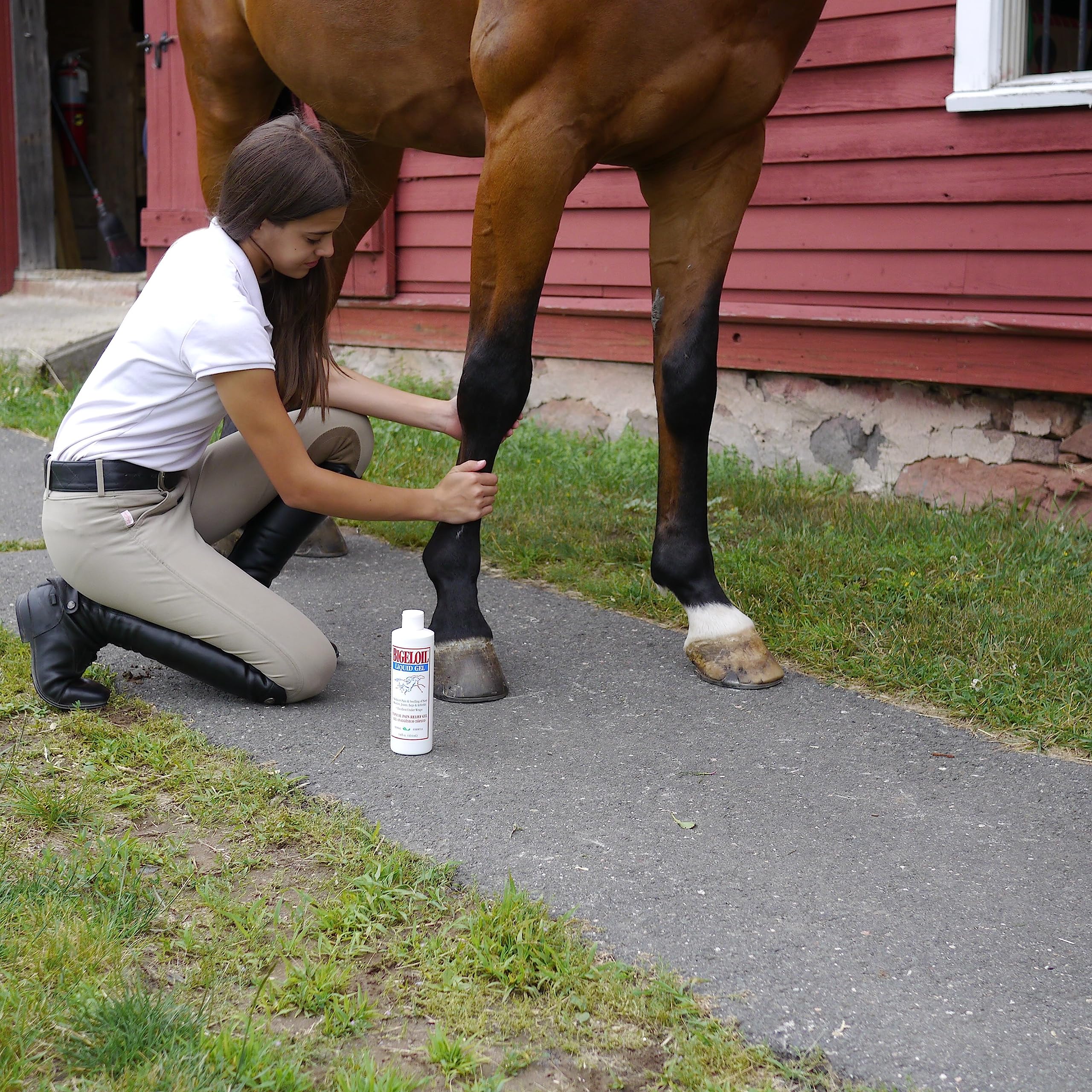Foto 4 pulgar | Liniment Gel Absorbine Bigeloil Para Dolor Muscular 414 Ml - Venta Internacional.