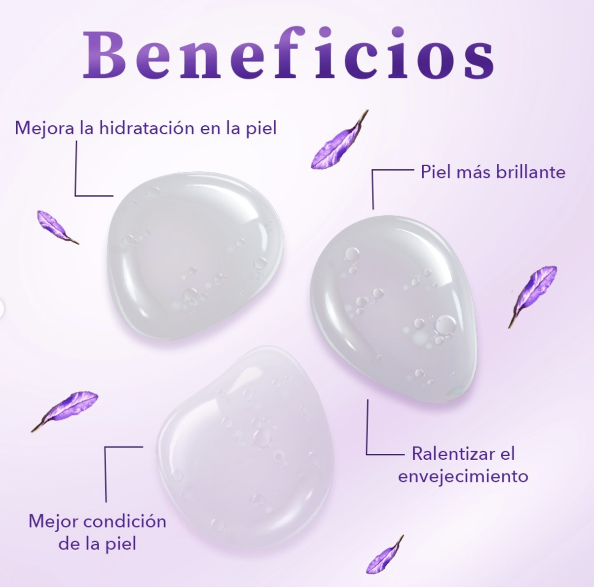 Foto 5 pulgar | Serum Facial Antiedad Bakuchiol Women Bee Tierra 40ml