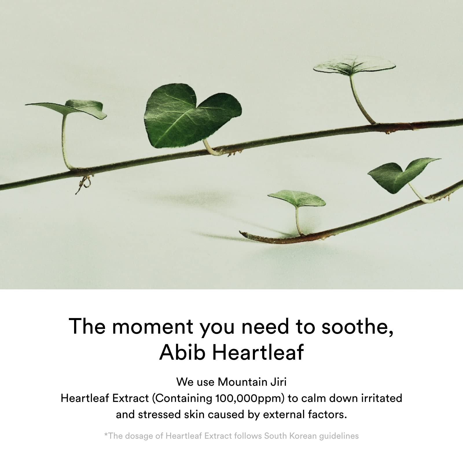 Foto 5 | Crema Hidratante Abib Heartleaf Creme Calming 75 Ml Para Piel Seca - Venta Internacional.