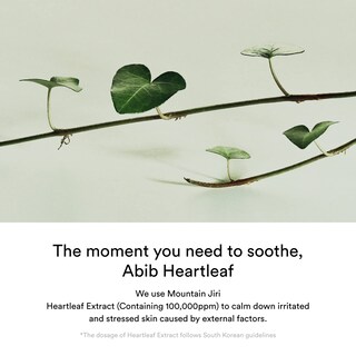 Foto 5 | Crema Hidratante Abib Heartleaf Creme Calming 75 Ml Para Piel Seca - Venta Internacional.