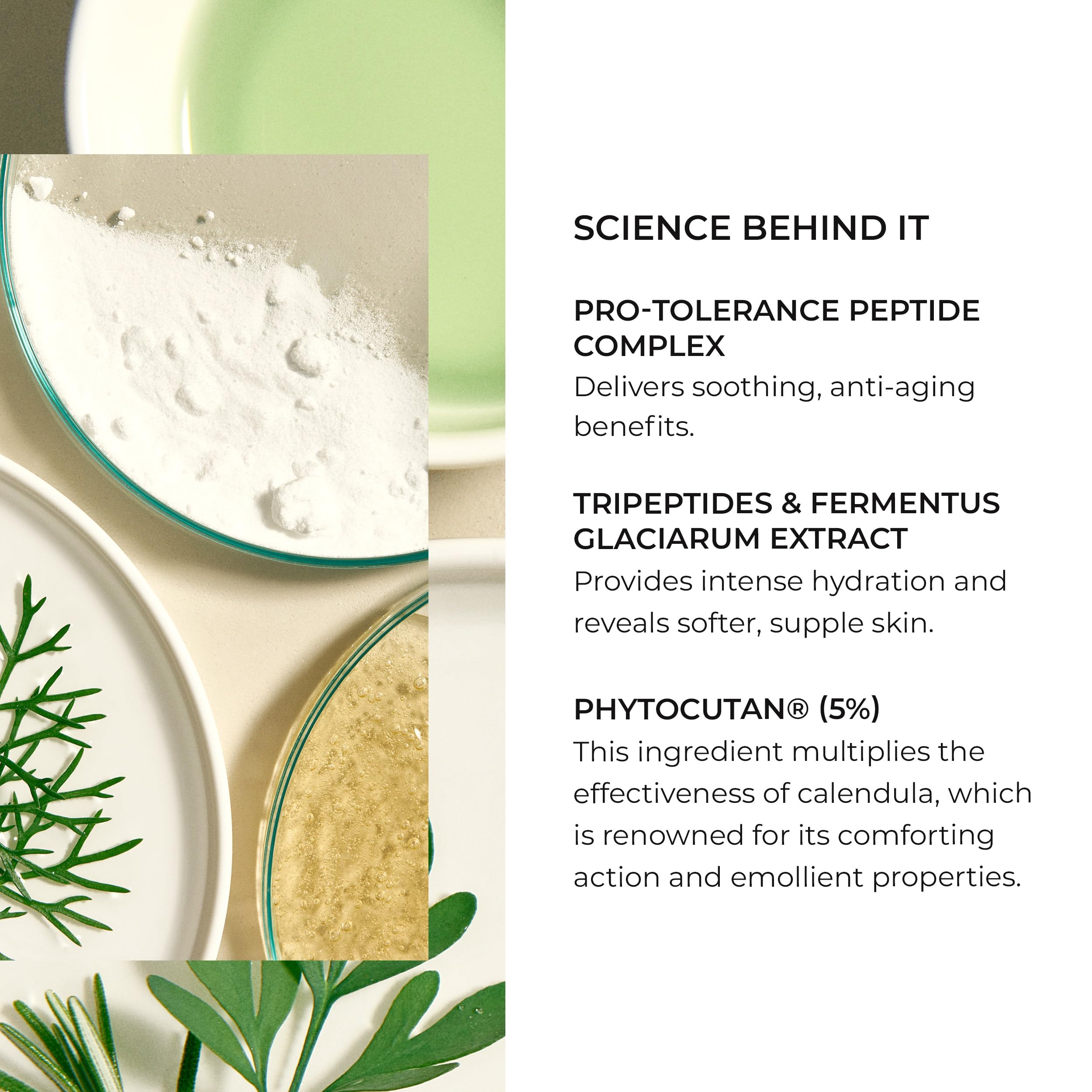 Foto 6 pulgar | Crema Natura Bissé Nb Ceutical Tolerance Recovery 50 Ml - Venta Internacional.