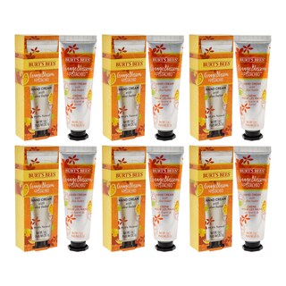 Foto 3 | Crema De Manos Burts Bees Con Aroma A Pistacho Y Azahar - Venta Internacional.