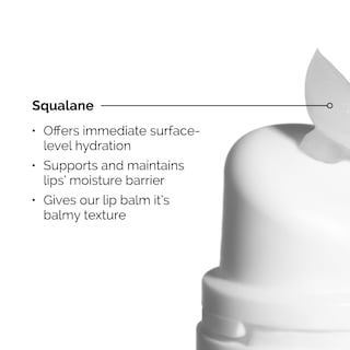 Foto 3 | Bálsamo Labial The Ordinary Squalane + Aminoácidos 15 Ml - Venta Internacional.
