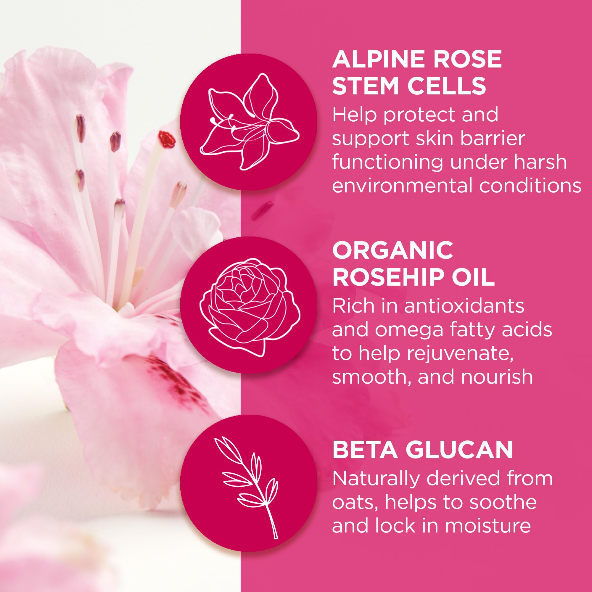 Foto 5 pulgar | Mascarilla De Labios Andalou Naturals 1000 Roses Overnight 12 Ml Vegana - Venta Internacional.