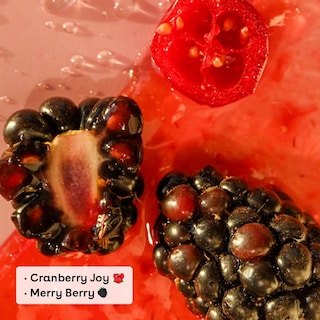 Foto 2 | Bálsamo Labial Eos Holiday Cranberry Joy & Merry Berry, Paquete De 2 Ml, 4 Ml - Venta Internacional.