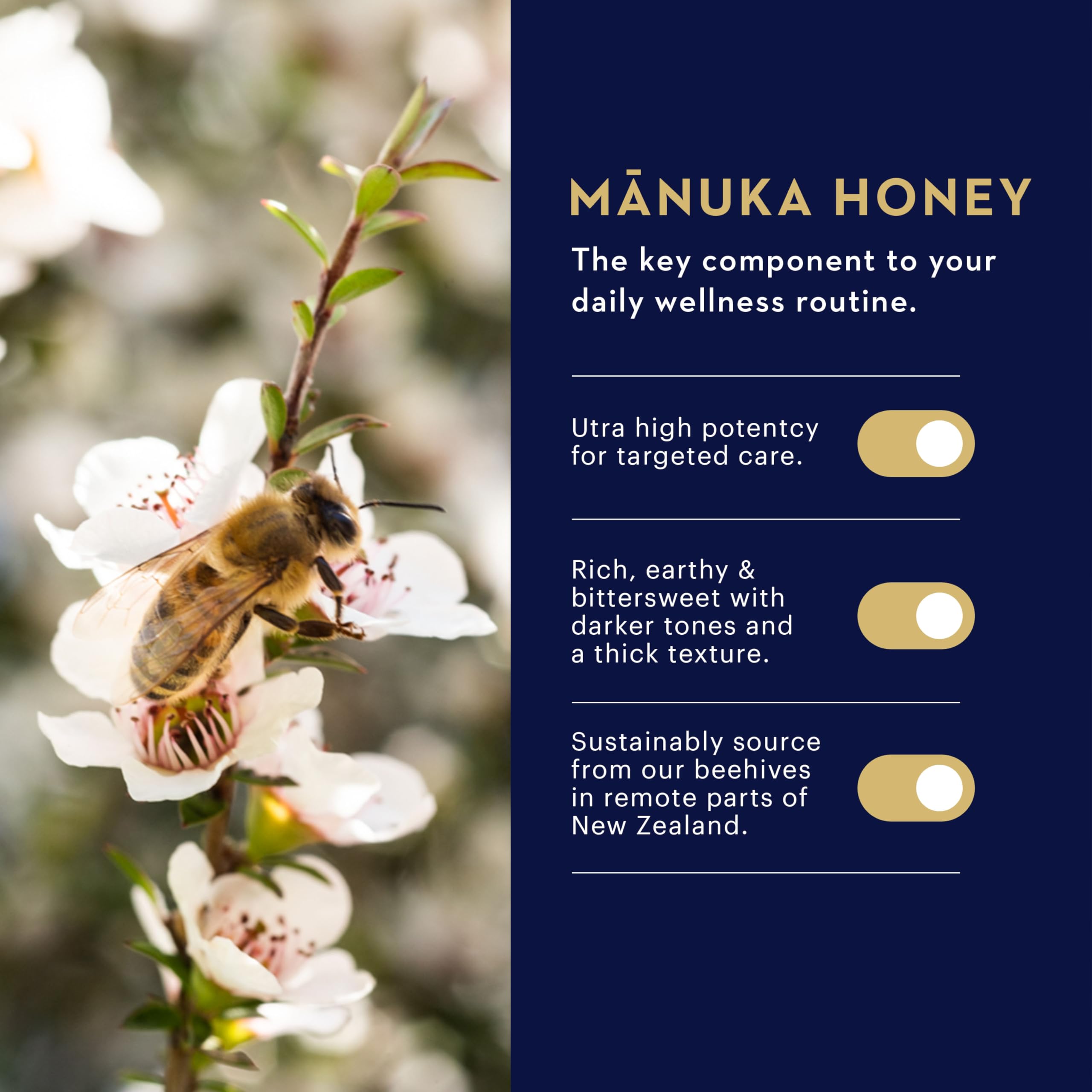 Foto 2 | Bálsamo Labial Manuka Health Lip Rescue 4,7 Ml Mgo 250+ Honey De Manuka - Venta Internacional.