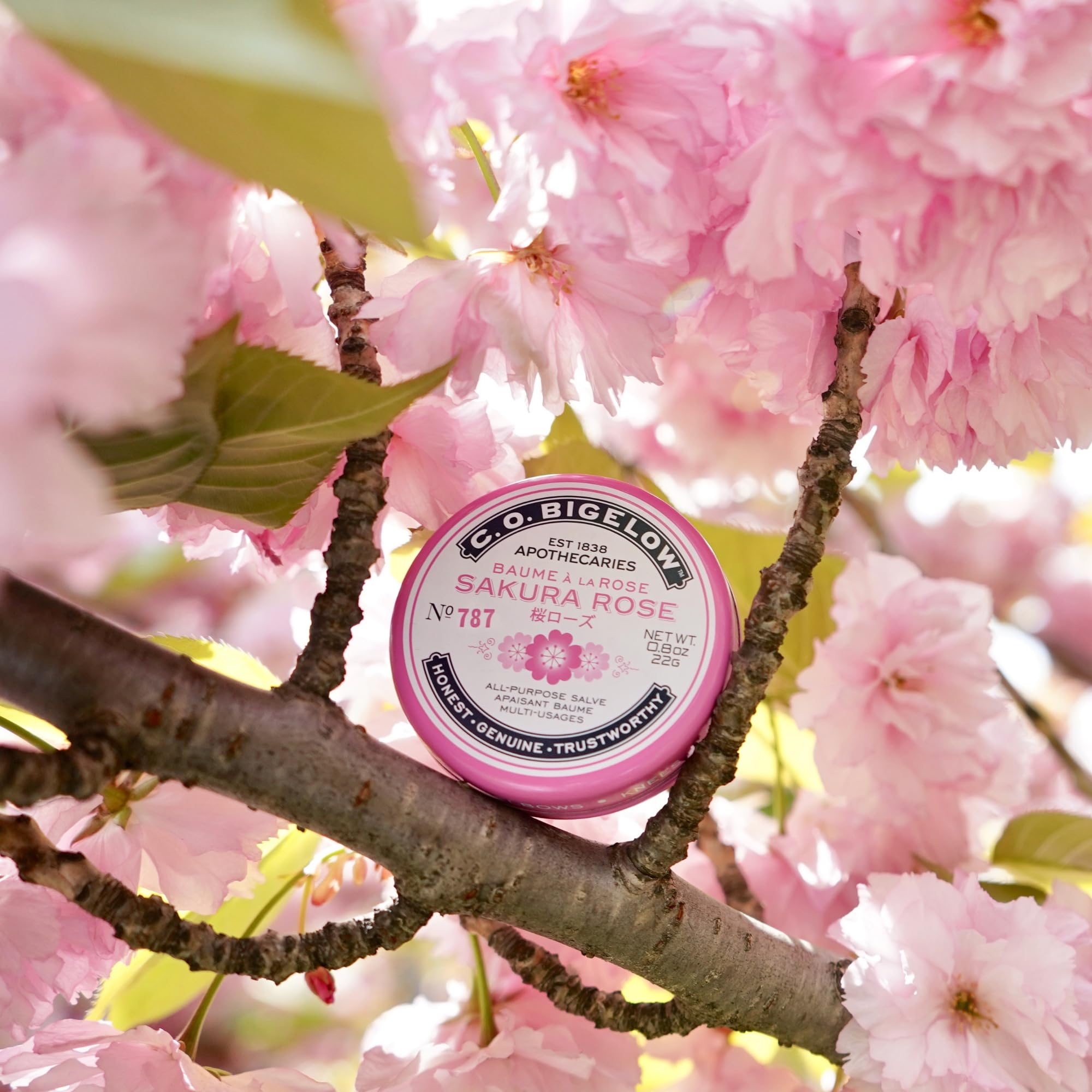 Foto 7 | Set De Bálsamo Labial C.o. Bigelow Sakura Rose 3x23 Ml Para Labios Agrietados - Venta Internacional.