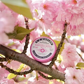 Foto 7 | Set De Bálsamo Labial C.o. Bigelow Sakura Rose 3x23 Ml Para Labios Agrietados - Venta Internacional.