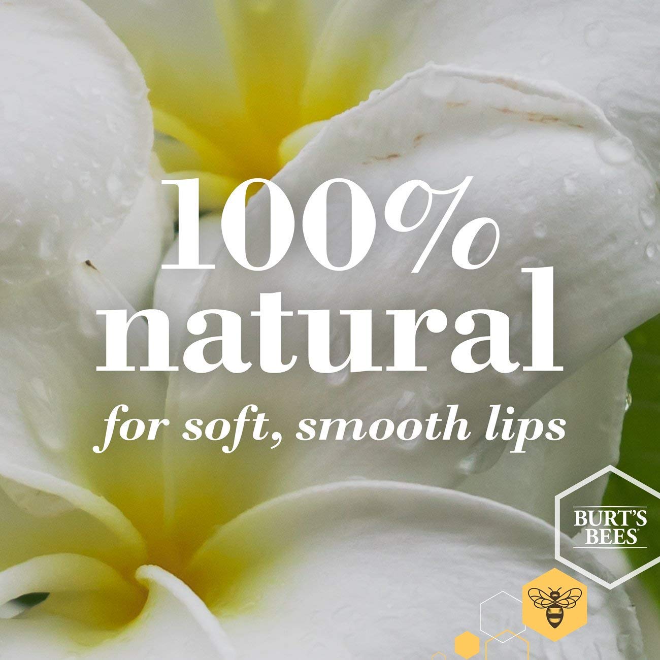 Foto 2 | Bálsamo Labial Burt's Bees 100% De Origen Natural, Pepino Y Menta X4 - Venta Internacional.
